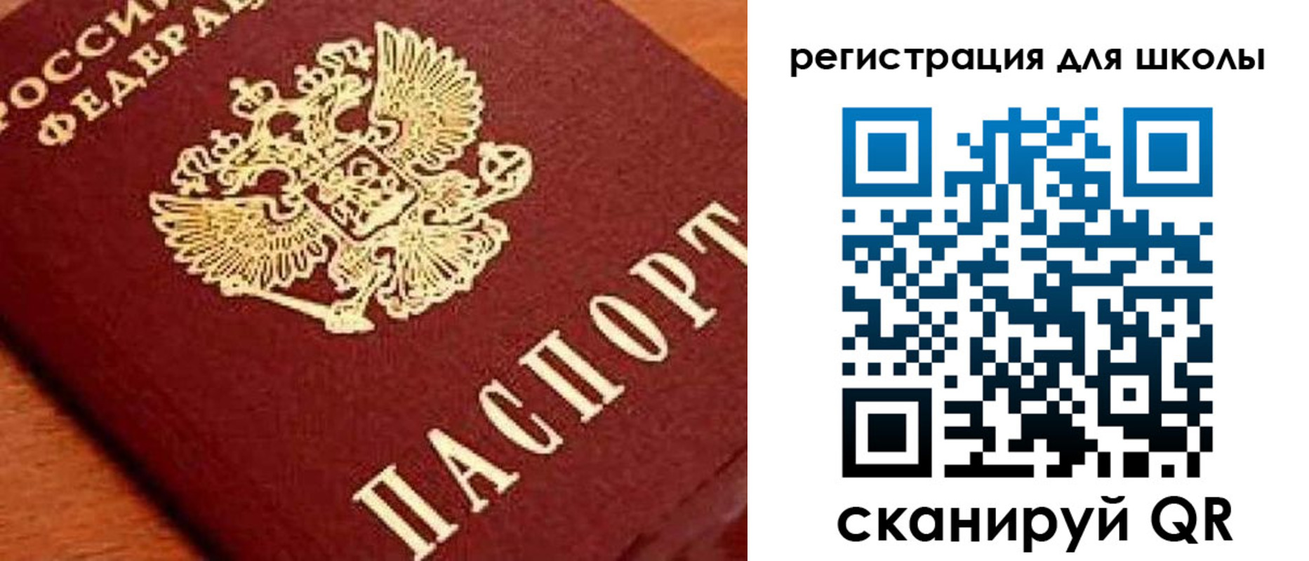 временная регистрация надежно в Светлом